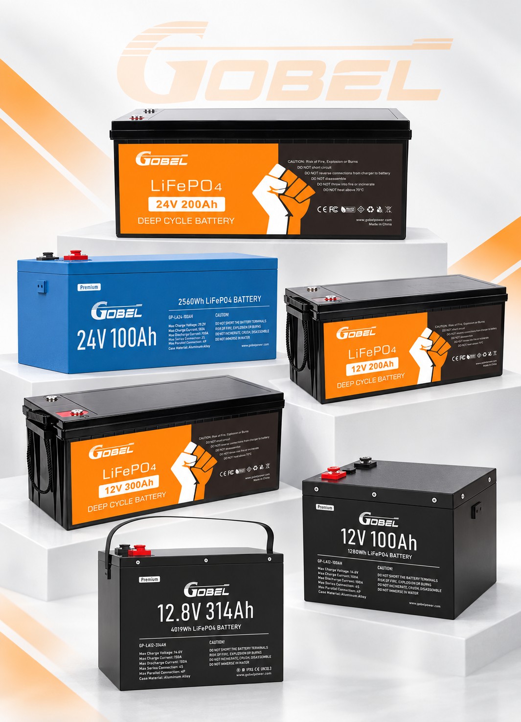 12V 24V LiFePO4 Battery